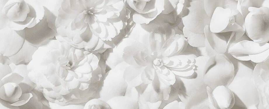 Hair Shine - Explore Hair Shine Routine