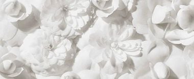 Hair Shine - Explore Hair Shine Routine