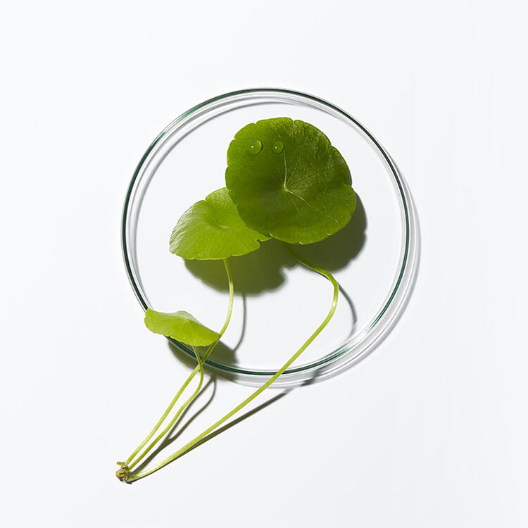 Kerastase responsible formulas