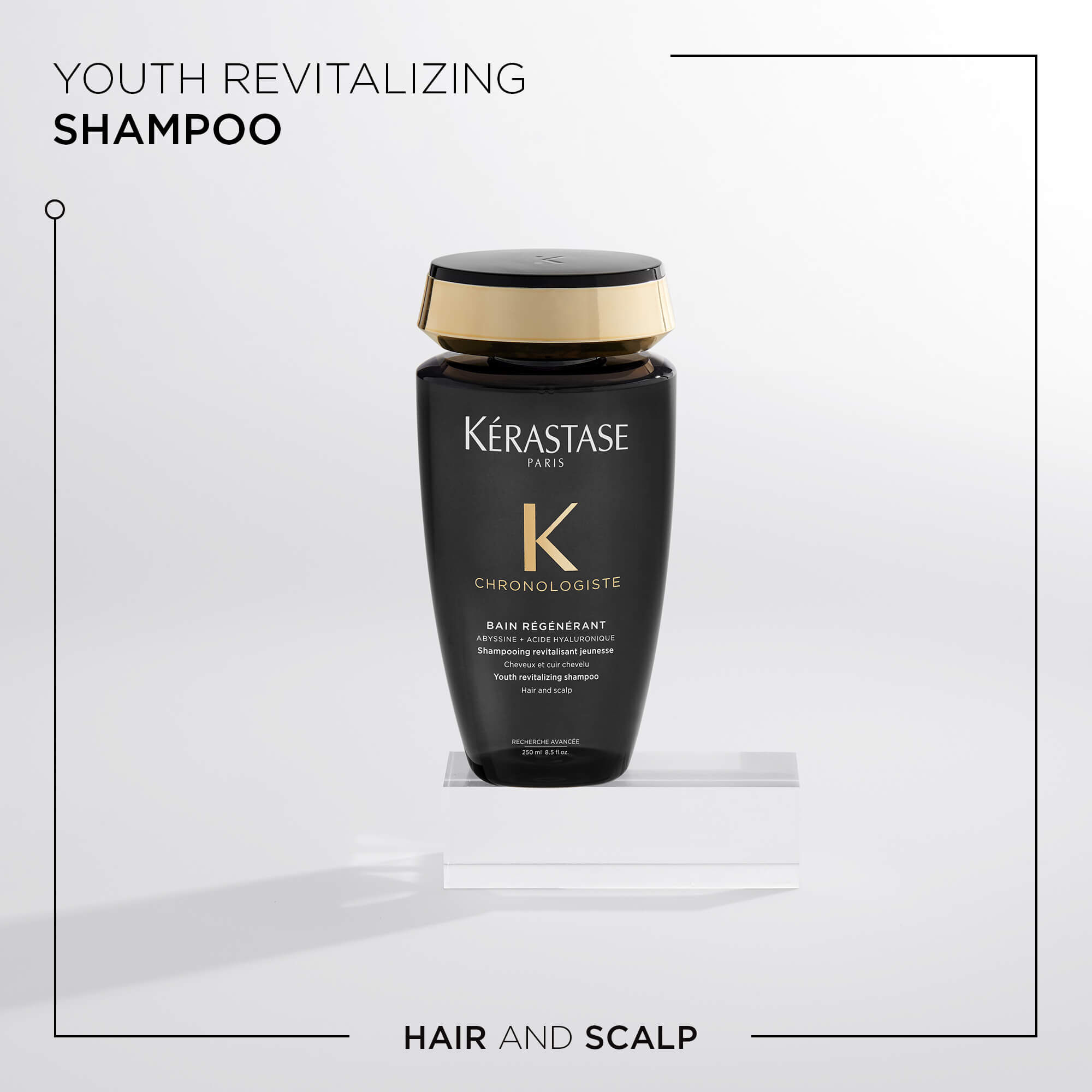 Kerastase Top 5 Shampoos  Kerastase Review  Best High End Shampoos  Best  Professional Shampoo  YouTube
