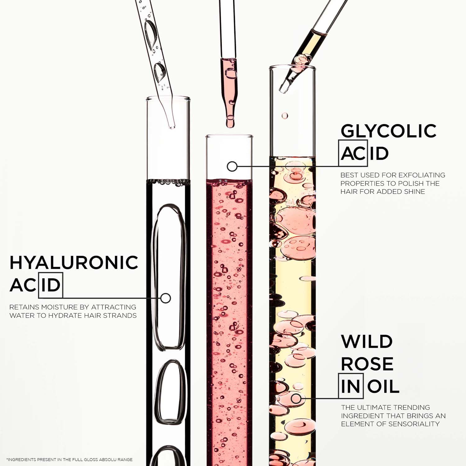 Gloss Absolu Hydra Glazing Anti-Frizz Shampoo & Conditioner Travel-Size Combo