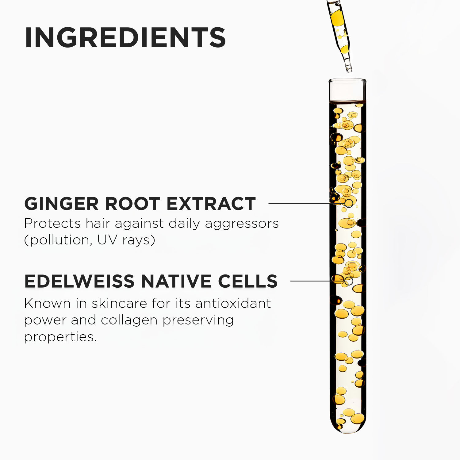 Genesis Anti-Hairfall Shampoo & Conditioner Mini Discovery Kit