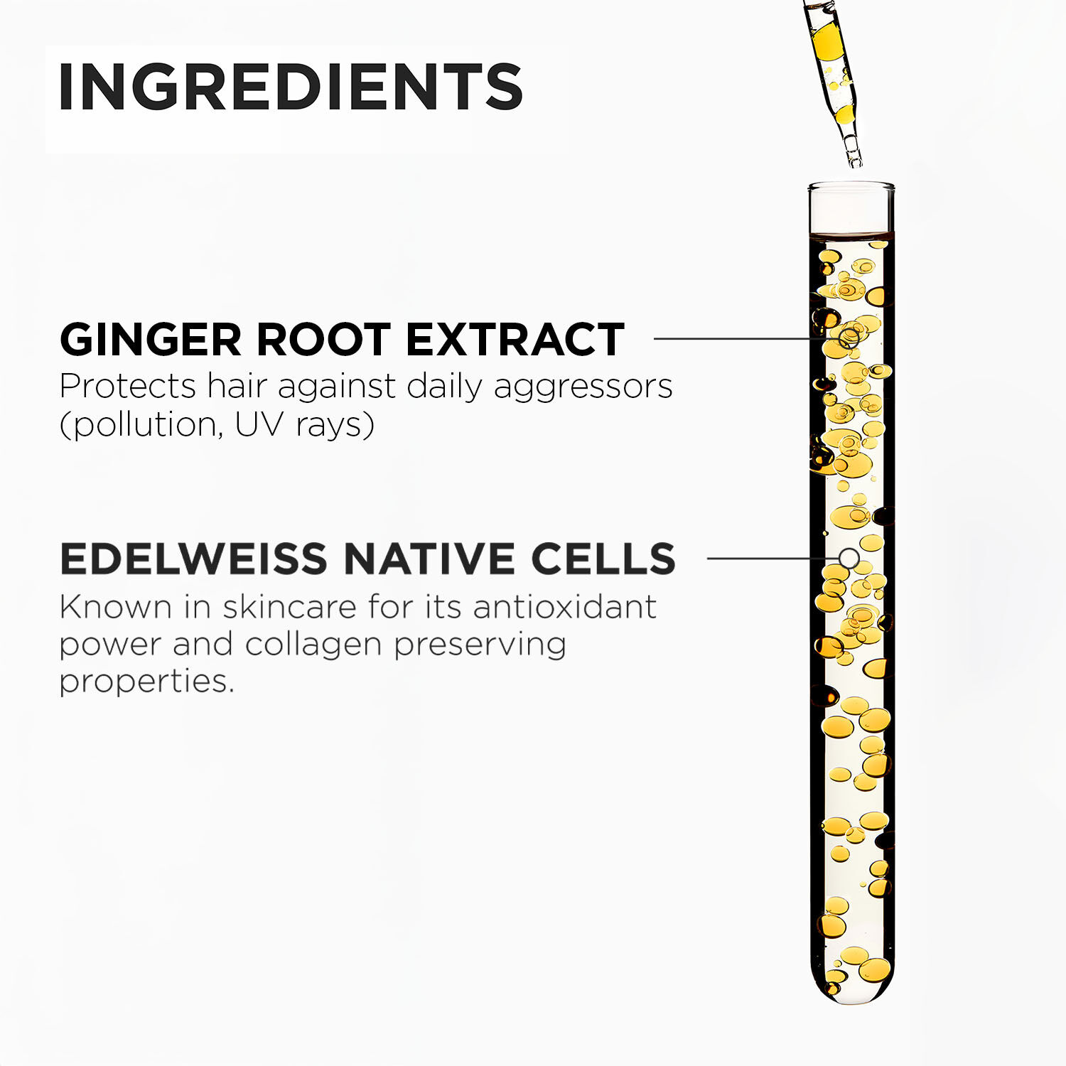 Genesis Renforcateur Conditioner