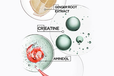 Kérastase Genesis Homme ingredients: creatine, aminexil and ginger root extract