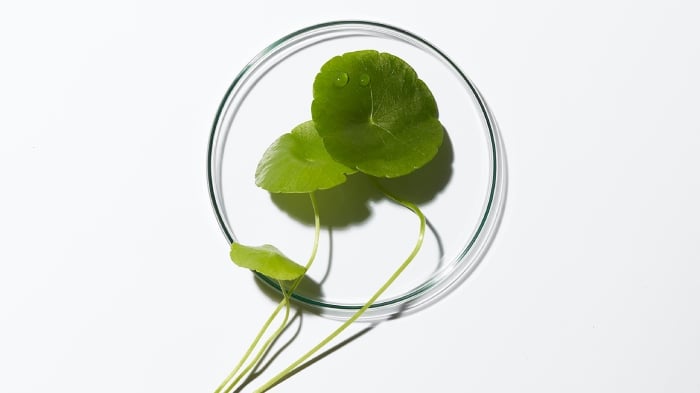 Responsibly Sourced Ingredients